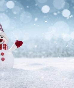 Fototapeta Usmívající se sněhulák