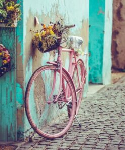 Fototapeta Pink Bicycle