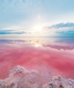 Fototapeta Růžové jezero