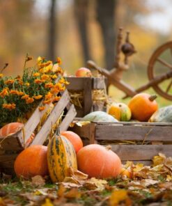 Fototapeta Podzimní kompozice