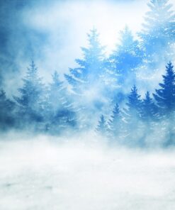 Fototapeta Modrý les