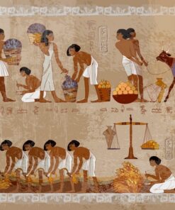 Fototapeta Sklizeň v Egyptě