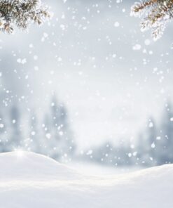 Fototapeta Snowflakes 2