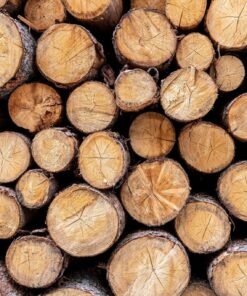 Fototapeta Wood Pile