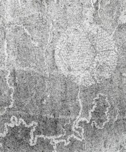 Samolepka na zeď Splashs on the Wall