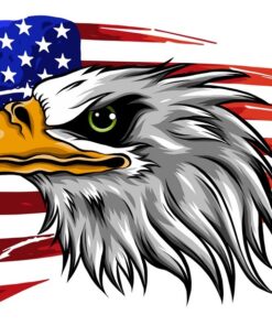 Fototapeta Orel na americké vlajce