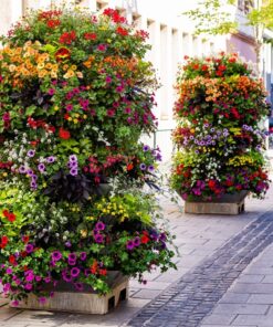 Samolepka na stěnu Květinové záhony