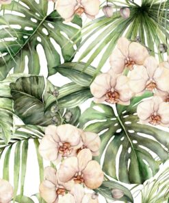 Fototapeta Květiny a listy orchidejí