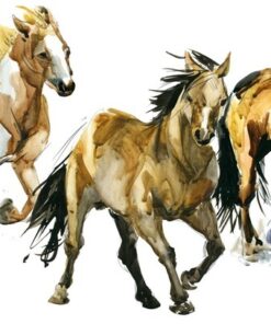 Fototapeta Akvarel Koně