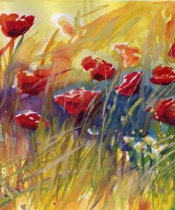 Fototapeta Vlčí máky a chrpy