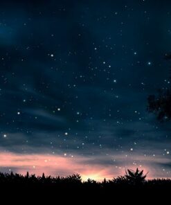 Fototapeta Noční obloha 3