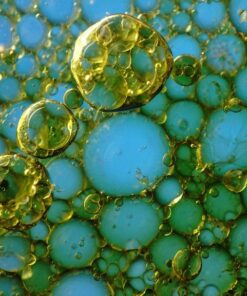 Fototapeta Oil Bubbles