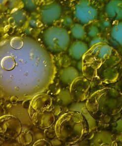 Fototapeta Bubbles in Oil