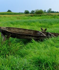 Fototapeta Loď na louce