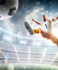 Fototapeta Air Ball Hit