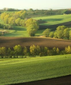 Fototapeta Zelené kopce