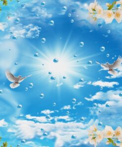 Fototapeta Květiny a obloha