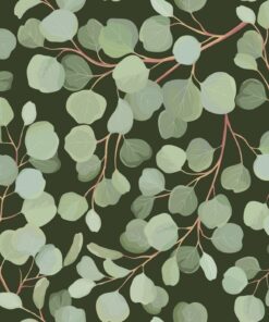 Fototapeta Eucalyptus leaves