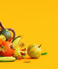 Fototapeta Podzimní ovoce a zelenina