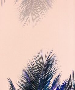 Fototapeta Kokosové listy