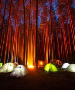 Fototapeta Kempování v lese