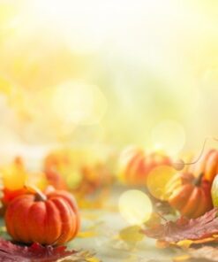 Samolepka na zeď podzimní pozadí 2