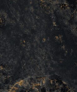 Fototapeta Black in Gold