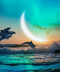 Fototapeta Měsíc nad mořem