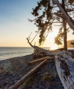 Fototapeta Západní pobřeží