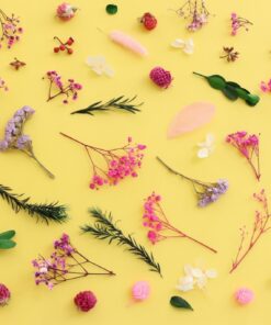 Fototapeta Květinové kompozice 2