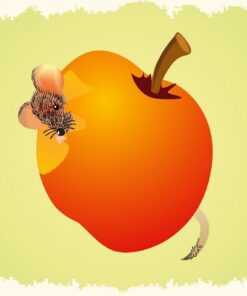 Fototapeta Myš v jablku
