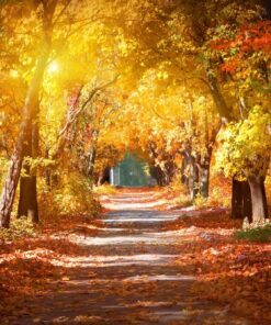 Fototapeta Podzimní scenérie