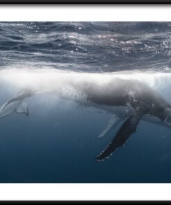 Plakát Pod Povrchem
