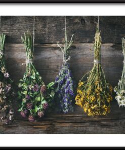 Plakát Barvy přírody