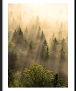 Plakát Les na slunci