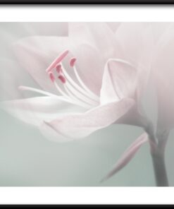 Jemný květinový plakát 2