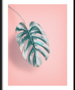 List Na Růžovém Plakátu