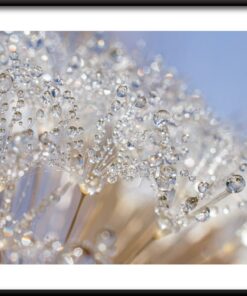 Křišťálové květiny plakát