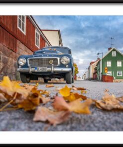Švédský podzimní plakát