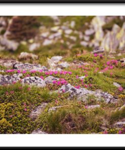 Barevný rockery plakát