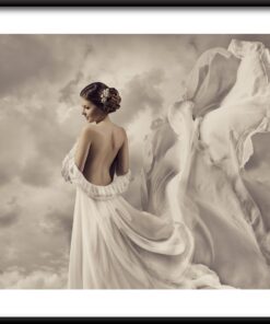 Okřídlené šaty plakát