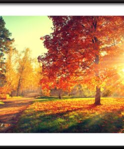 Plakát V Podzimním Slunci.