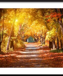 Podzimní cesta plakát