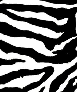 Fototapeta Zebra