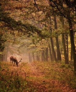 Fototapeta Podzimní scenérie 3