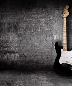 Fototapeta Nástroj sólisty