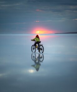 Fototapeta Kůň na jezeře