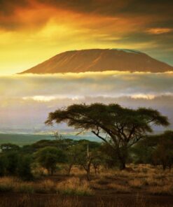 Fototapeta Mount Kilimanjaro