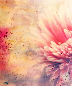 Fototapeta Dahlia květina 3