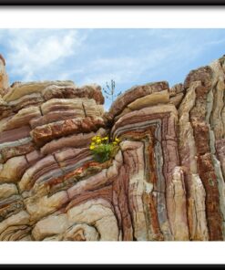 Plakát Květina ve skále